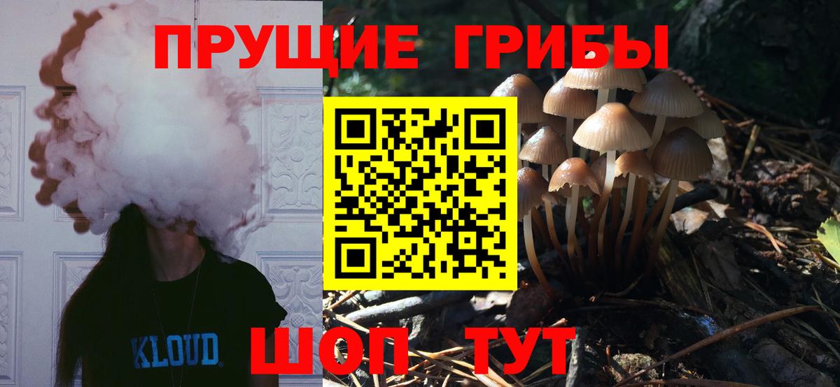 Томск  Псилоцибиновые грибы ЛСД  Вход с VPN 